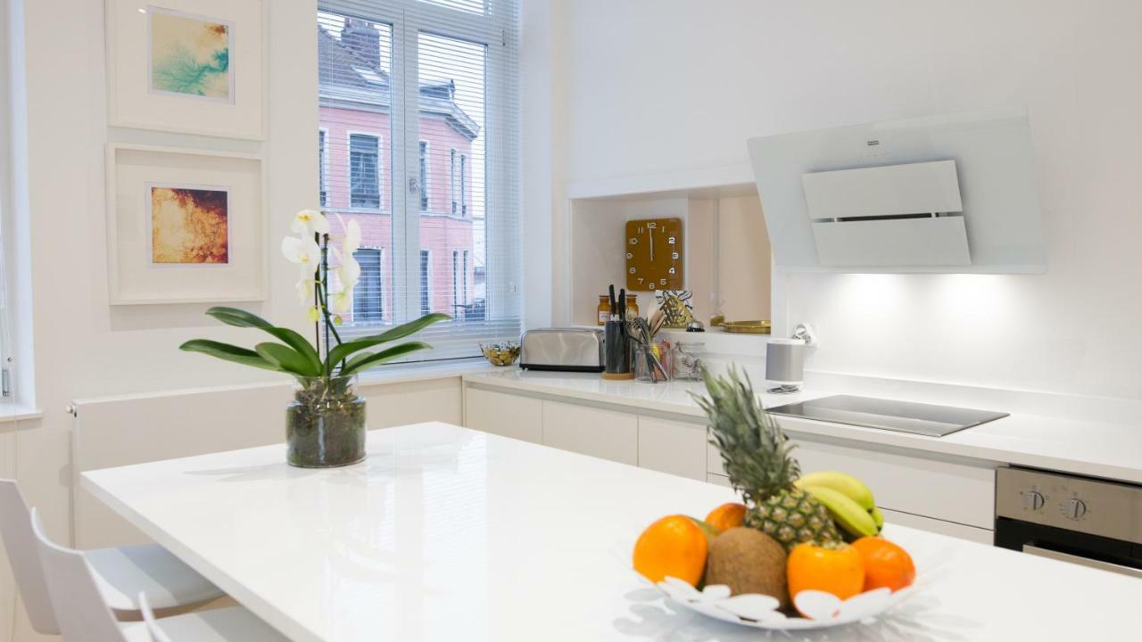 Luxueux Logement Bourgeois De 250 M2 Climatise Lille Exterior foto